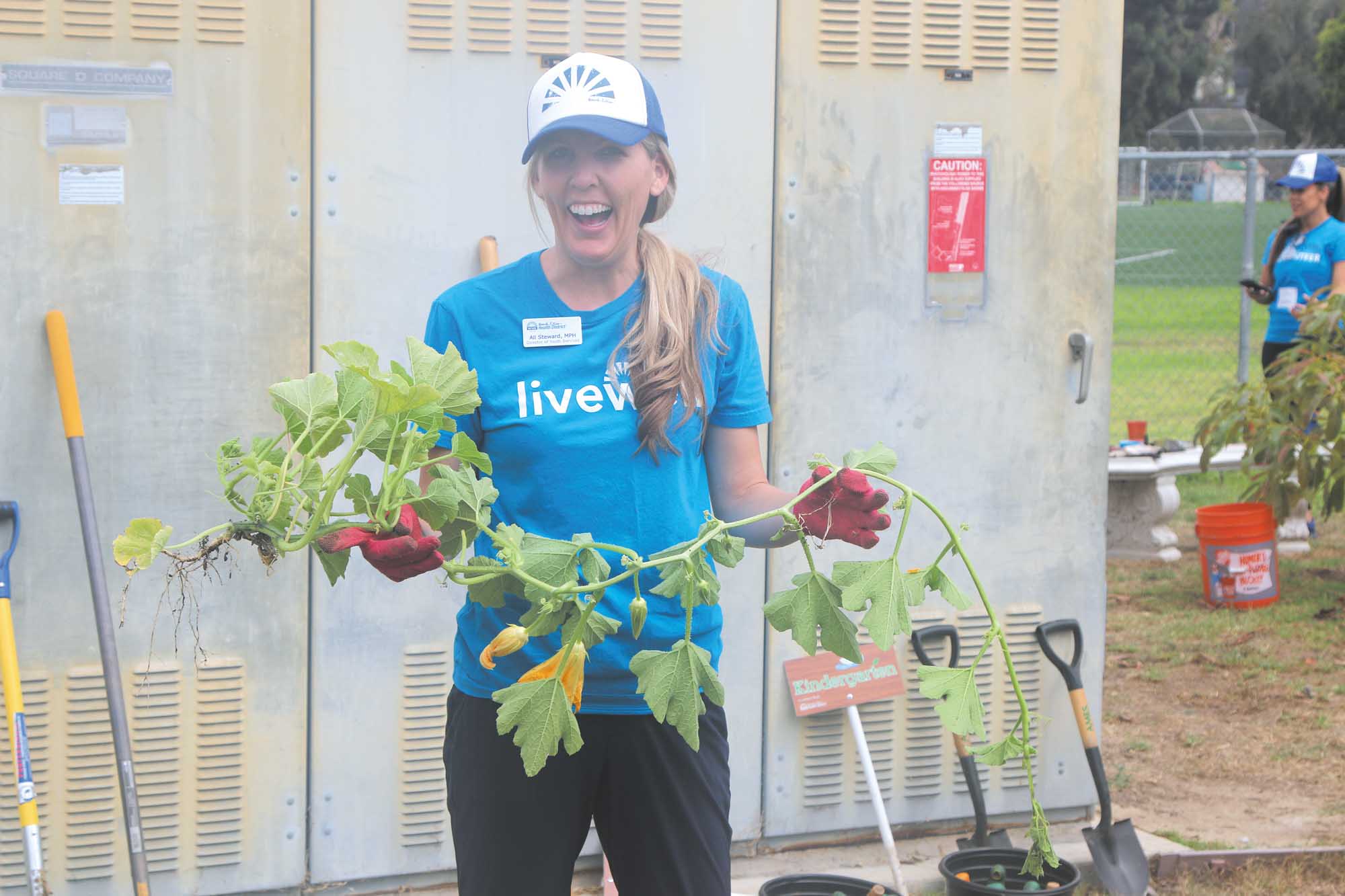 Tripping over health: The Blue Zones Project’s plan to re-engineer communities, one city at a time
