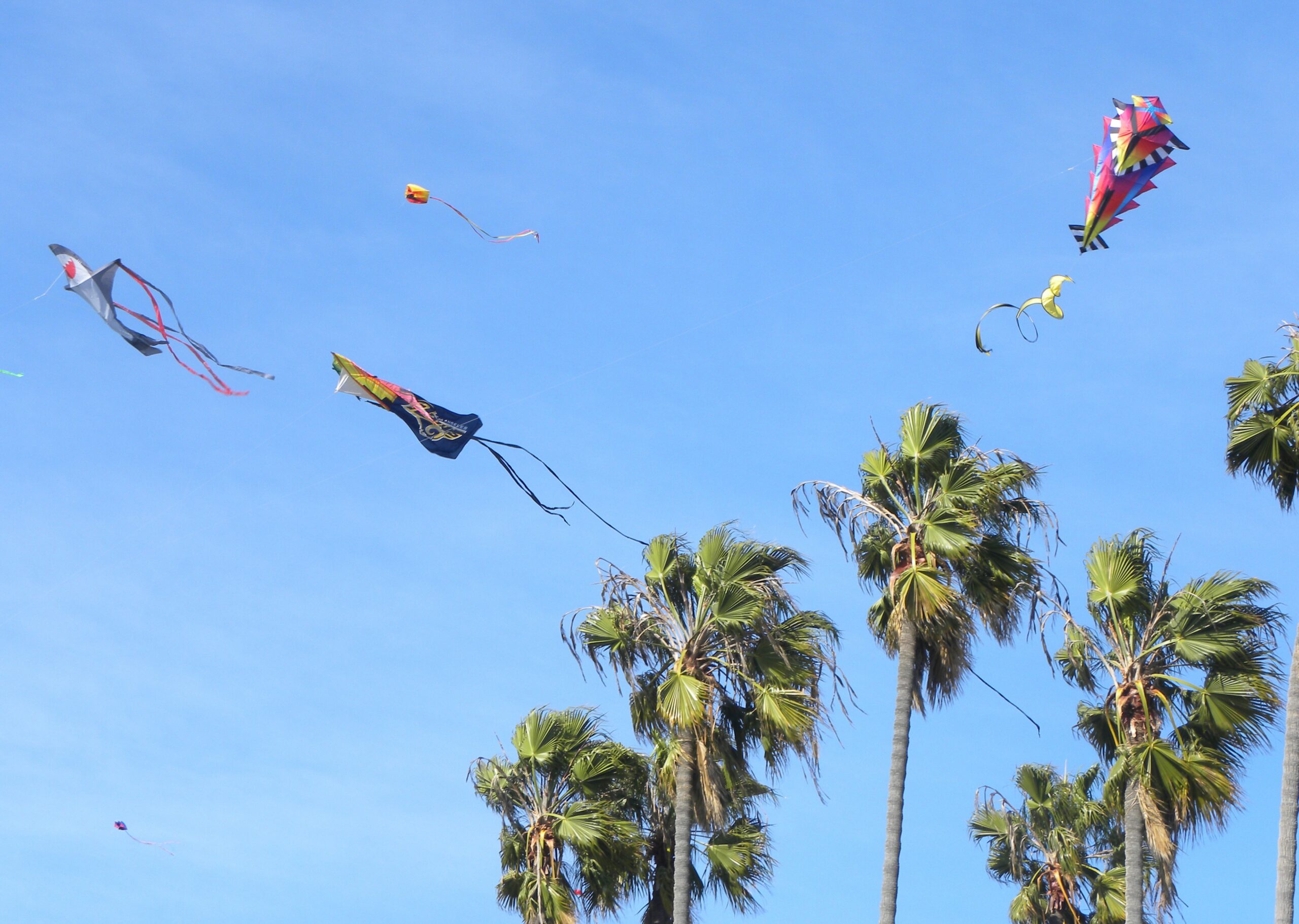 About Town Redondo: E-bike meeting Thursday, 50th Kite Festival, police open house