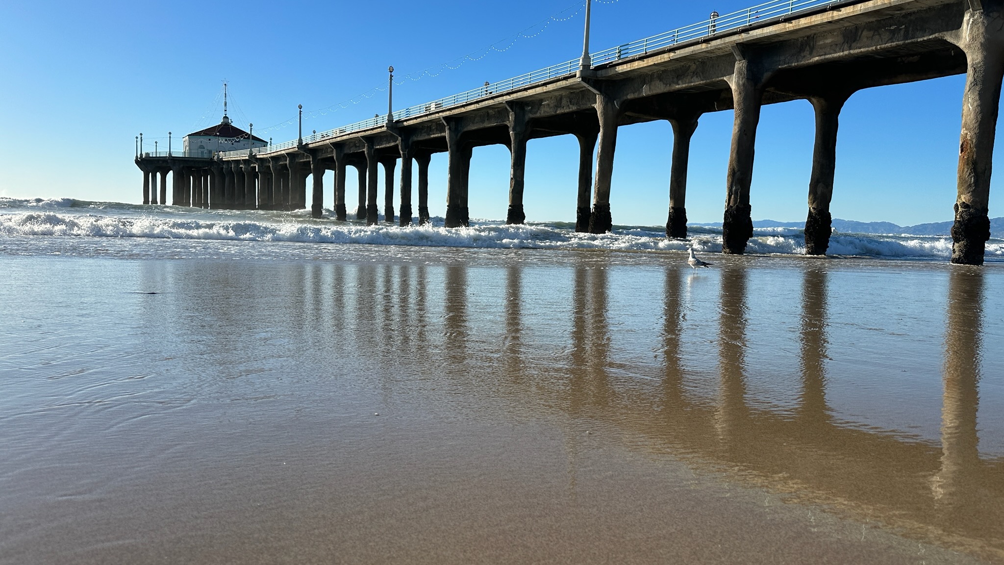 Roundhouse hosts King Tide support of King Tide Project
