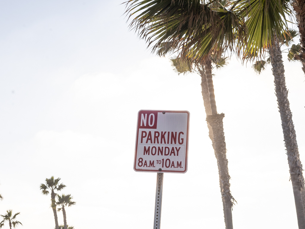 Hermosa Beach About Town: Increased penalty, dog licenses