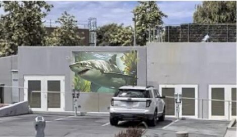 PUBLIC ART: Council approves shark mural, sculptures, rejects anti-hate mural