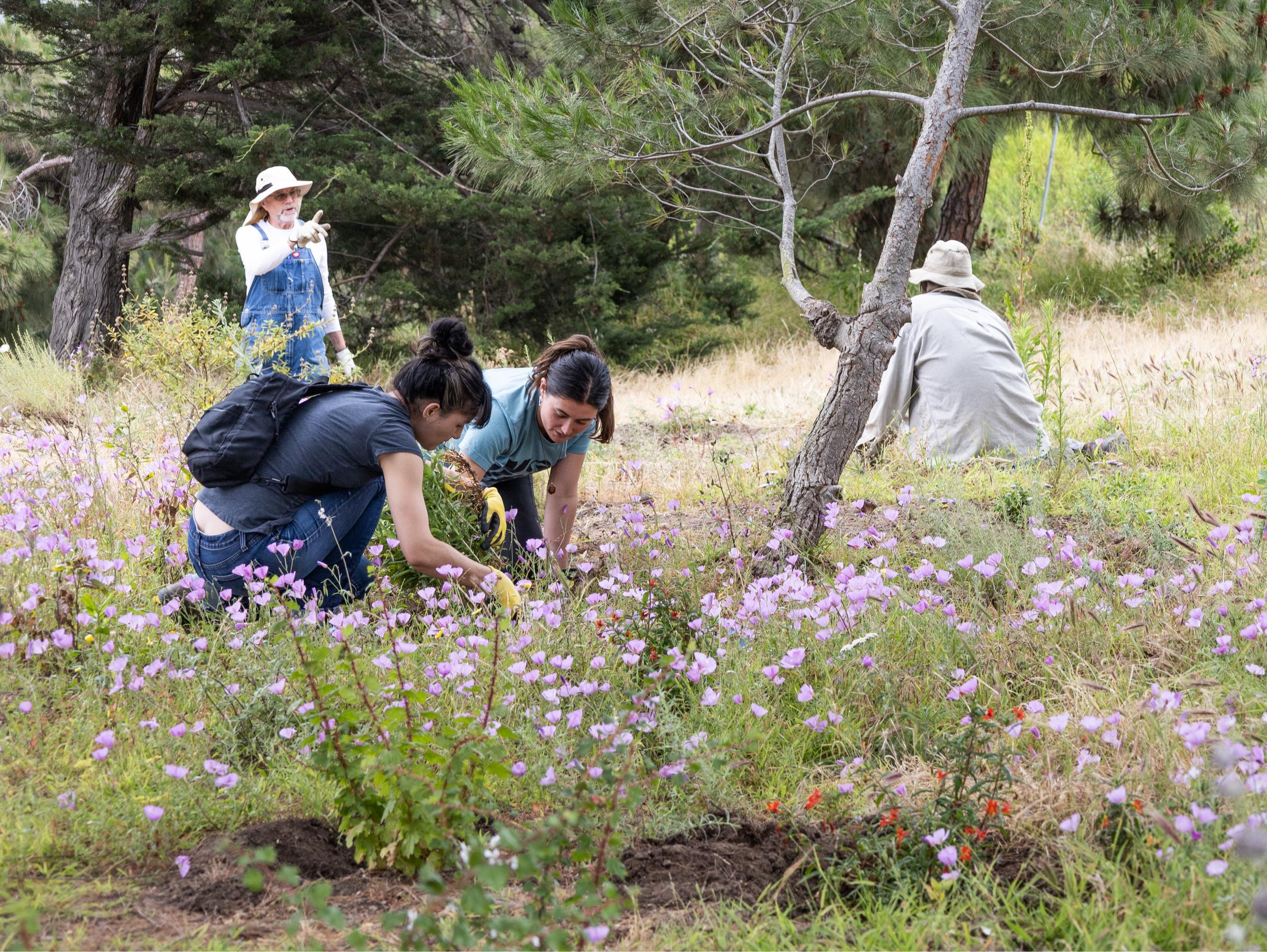 Summer Calendar 2025: Wilderness Park offers day, overnight camps