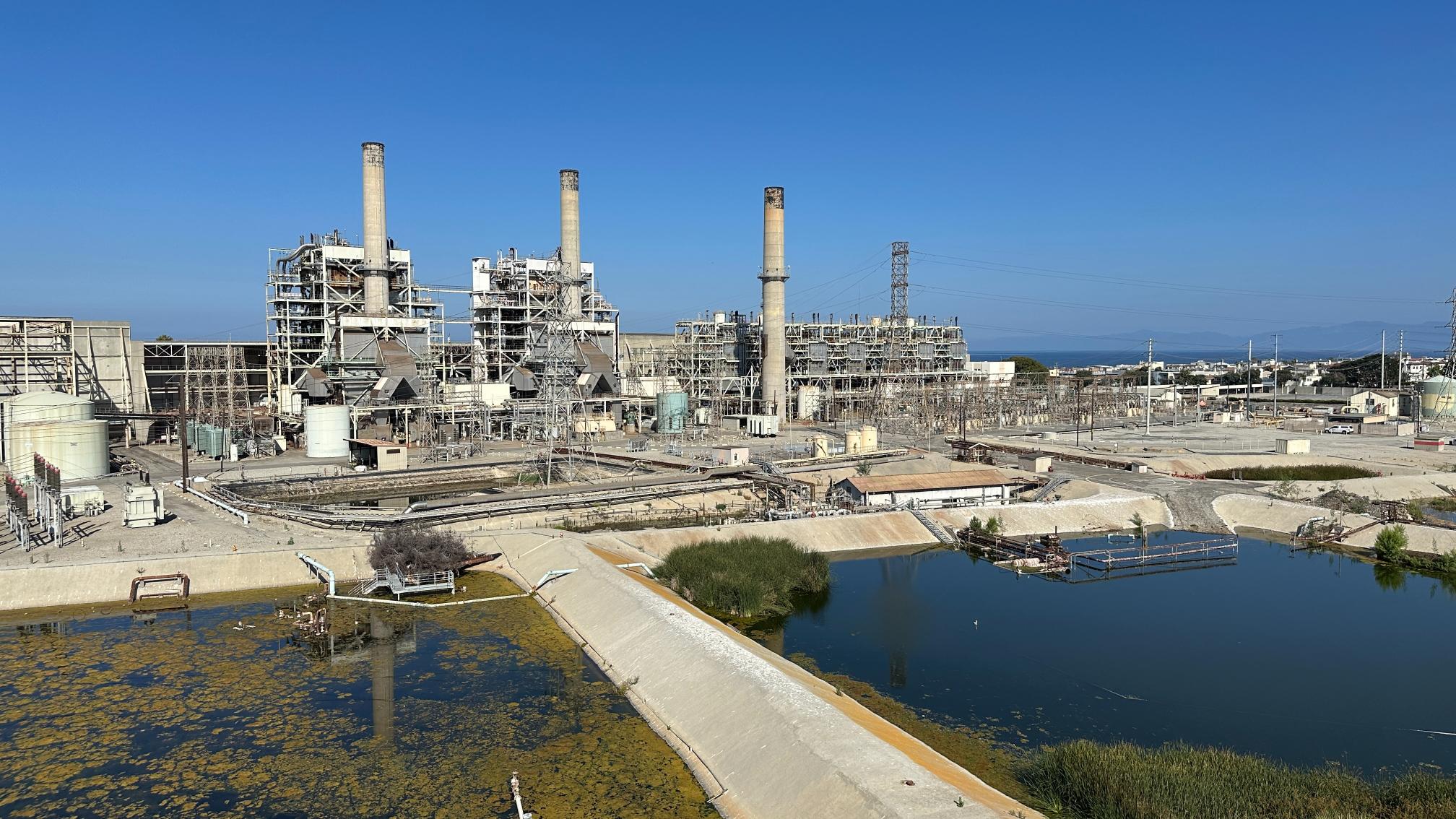 AES, from wetlands to wetlands