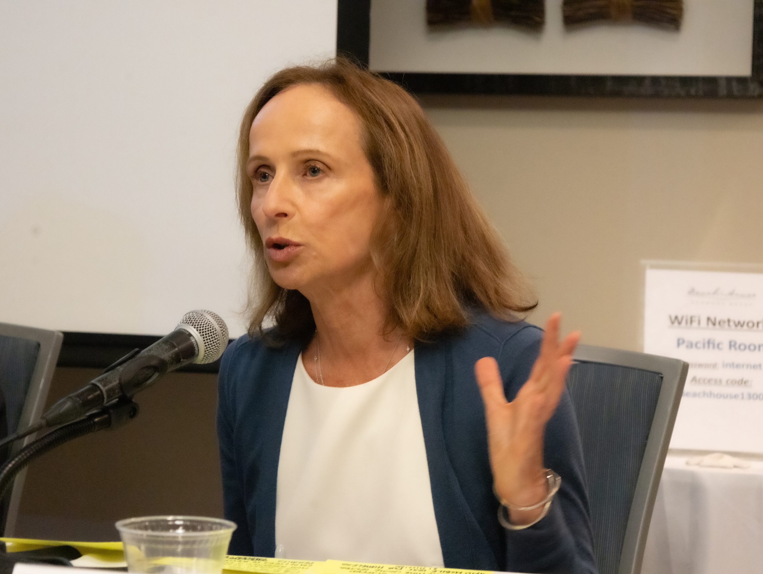 Hermosa Beach Council Candidate Worner cites journalism work
