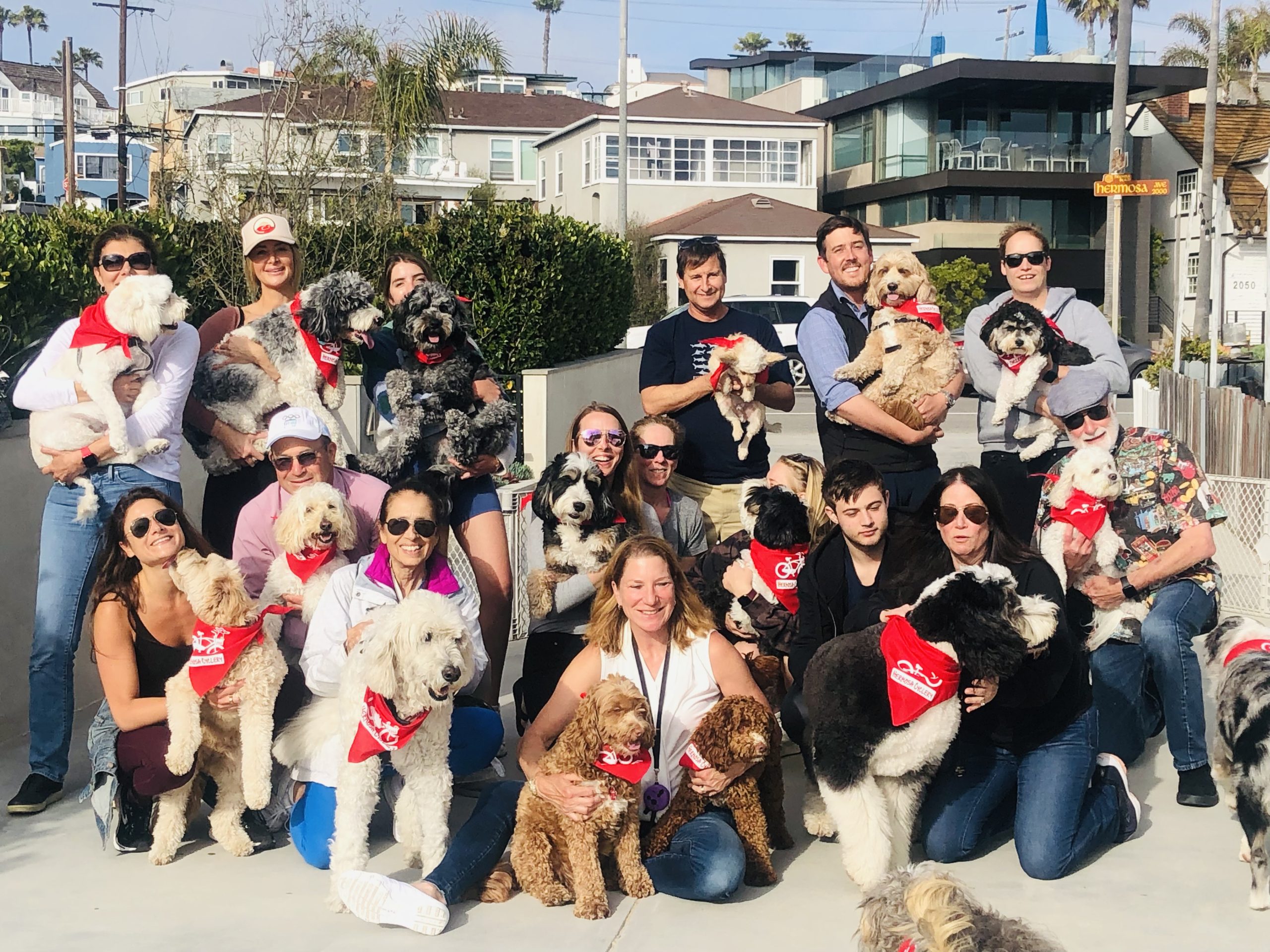 Hermosa Beach Little League swings for the fences, dogs may run free