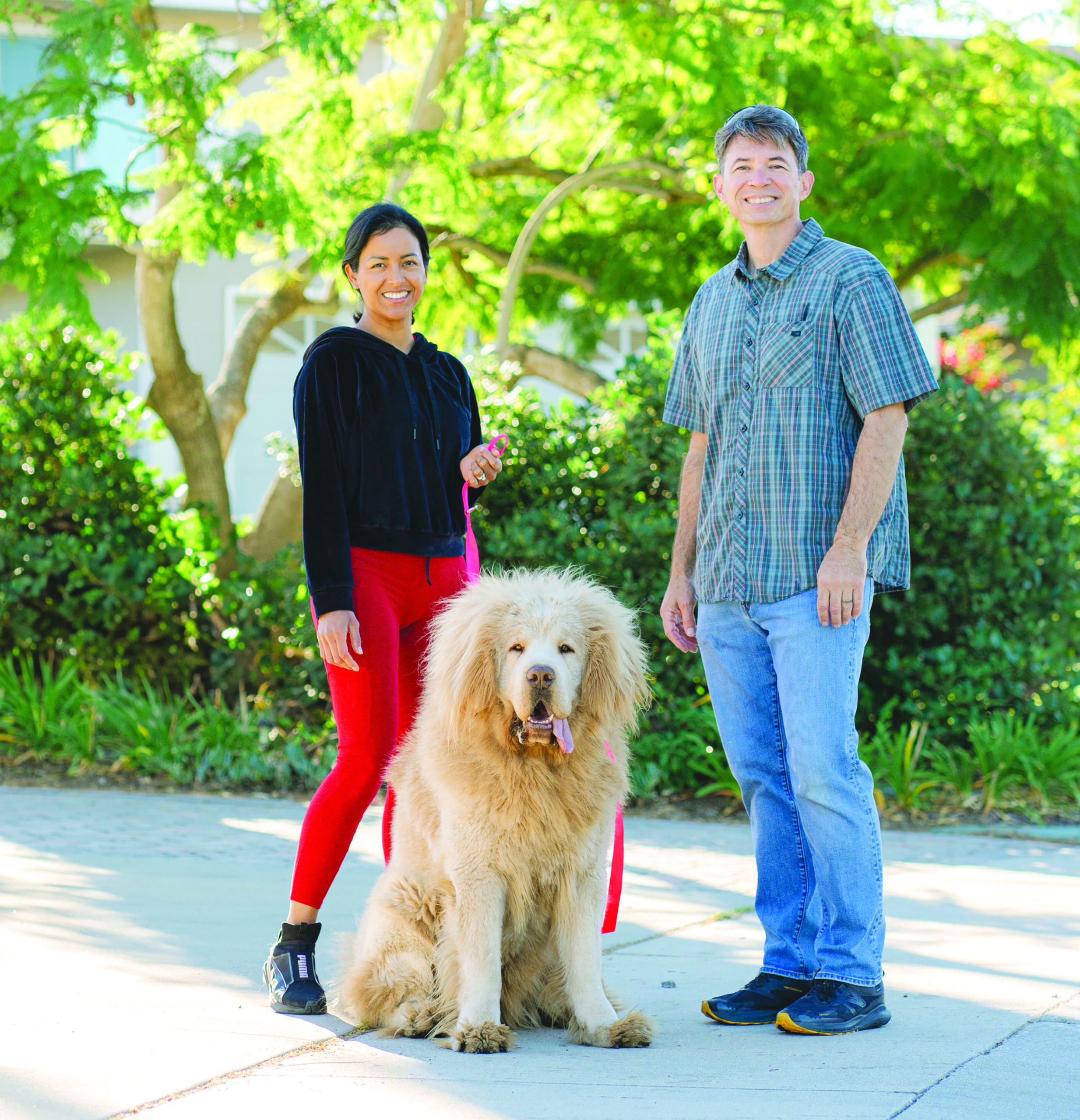 Mike McGowan’s dogs are a family’s best friend