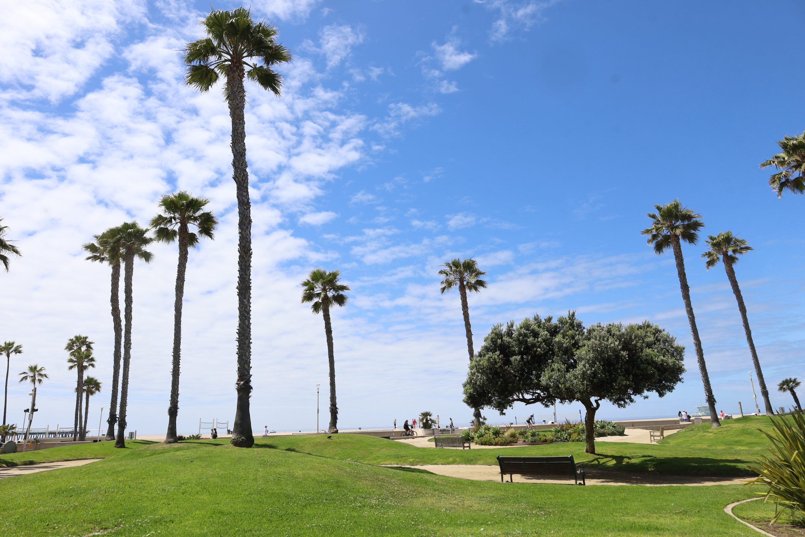 Memorial for Hermosa activist Herriott Saturday, June 7, at the park he helped save