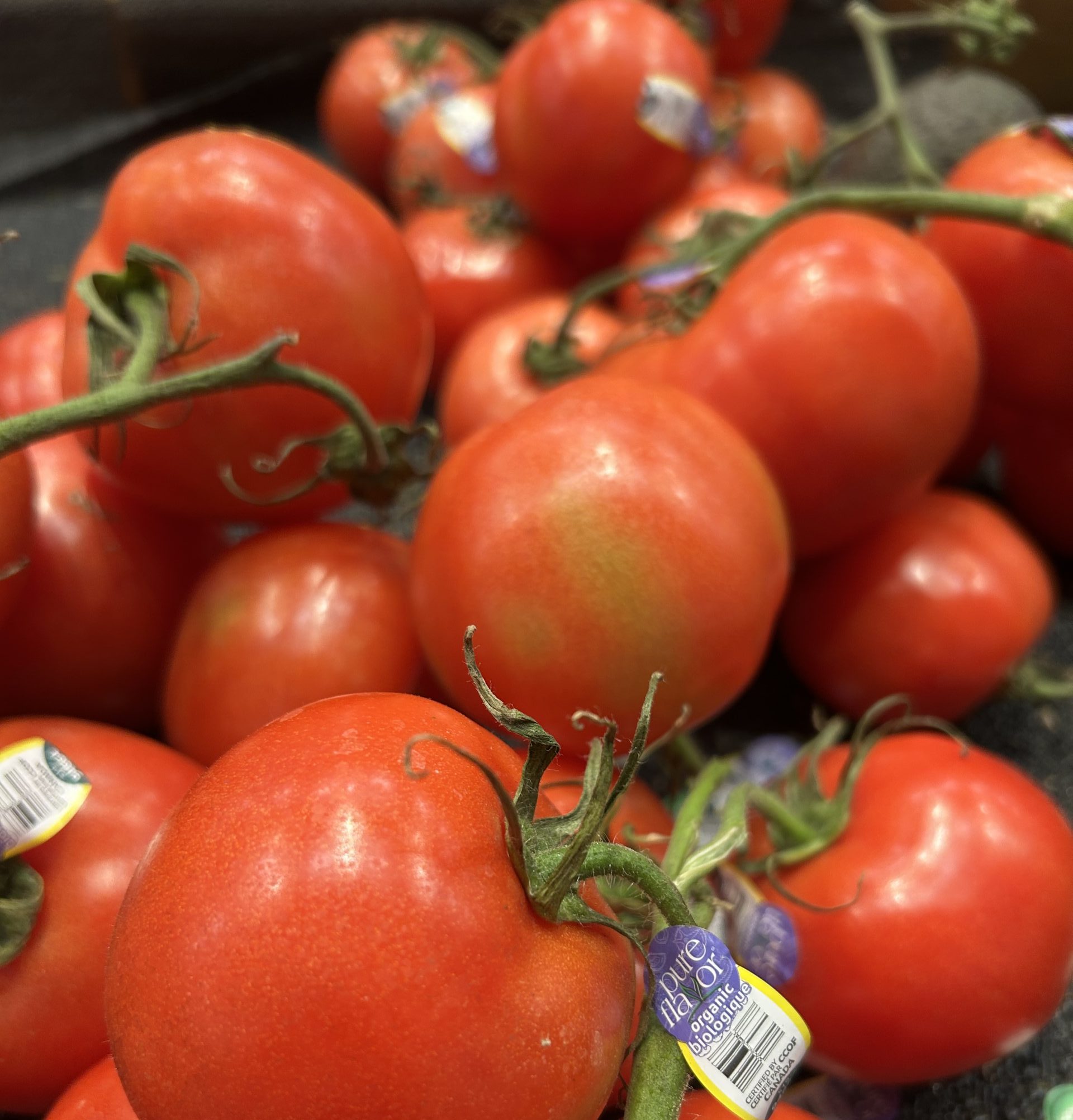 In the kitchen with Chef Bell – A tomato summer