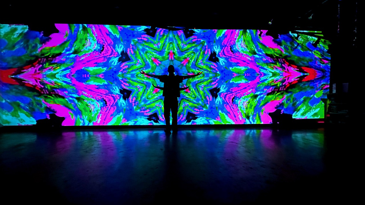 “Flying Colors” is an immersive audio/visual exhibit at Resin/Indivisible Arts