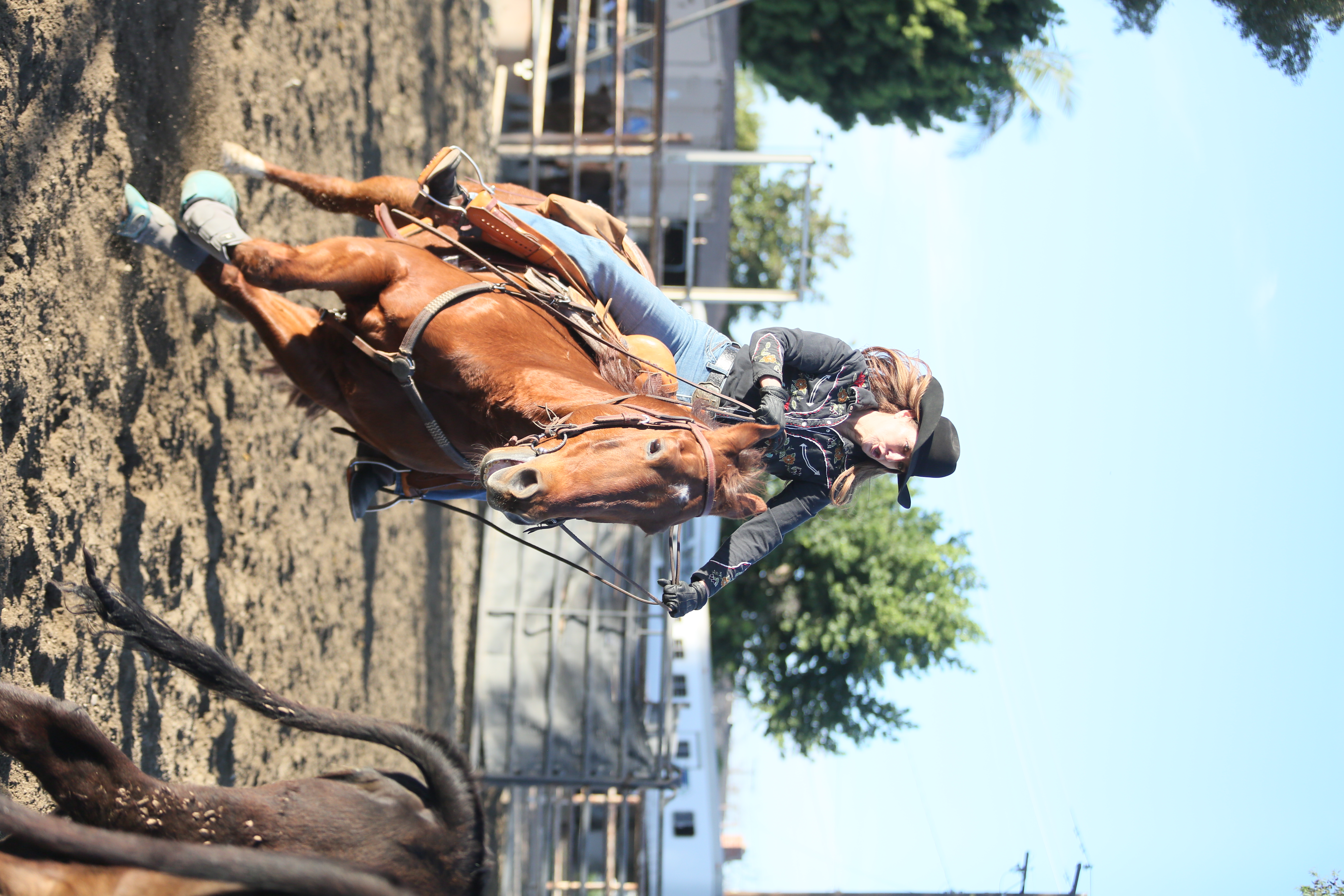 Back in the Saddle: For over 90 years, the Empty Saddle Club has preserved the western riding and cattle sorting skills