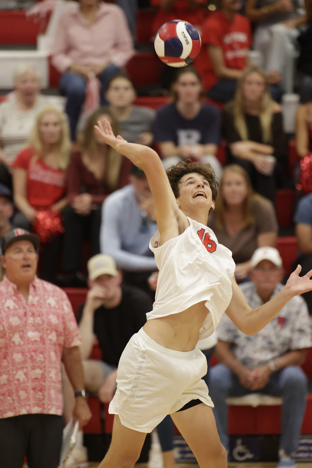 All Ball Sports: Lakers Swept, Future Fuzzy